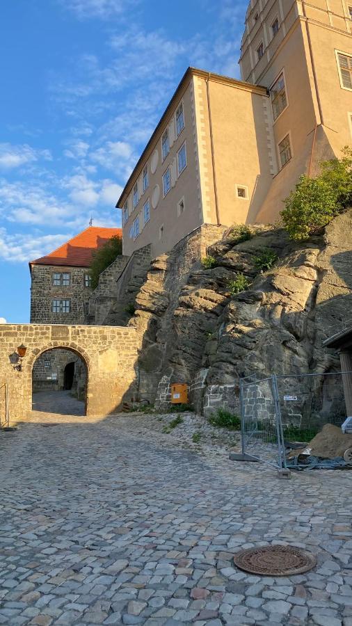 Ferienwohnung Helene Im Einzeldenkmal - Lange Gasse 29 Quedlinburg Eksteriør billede